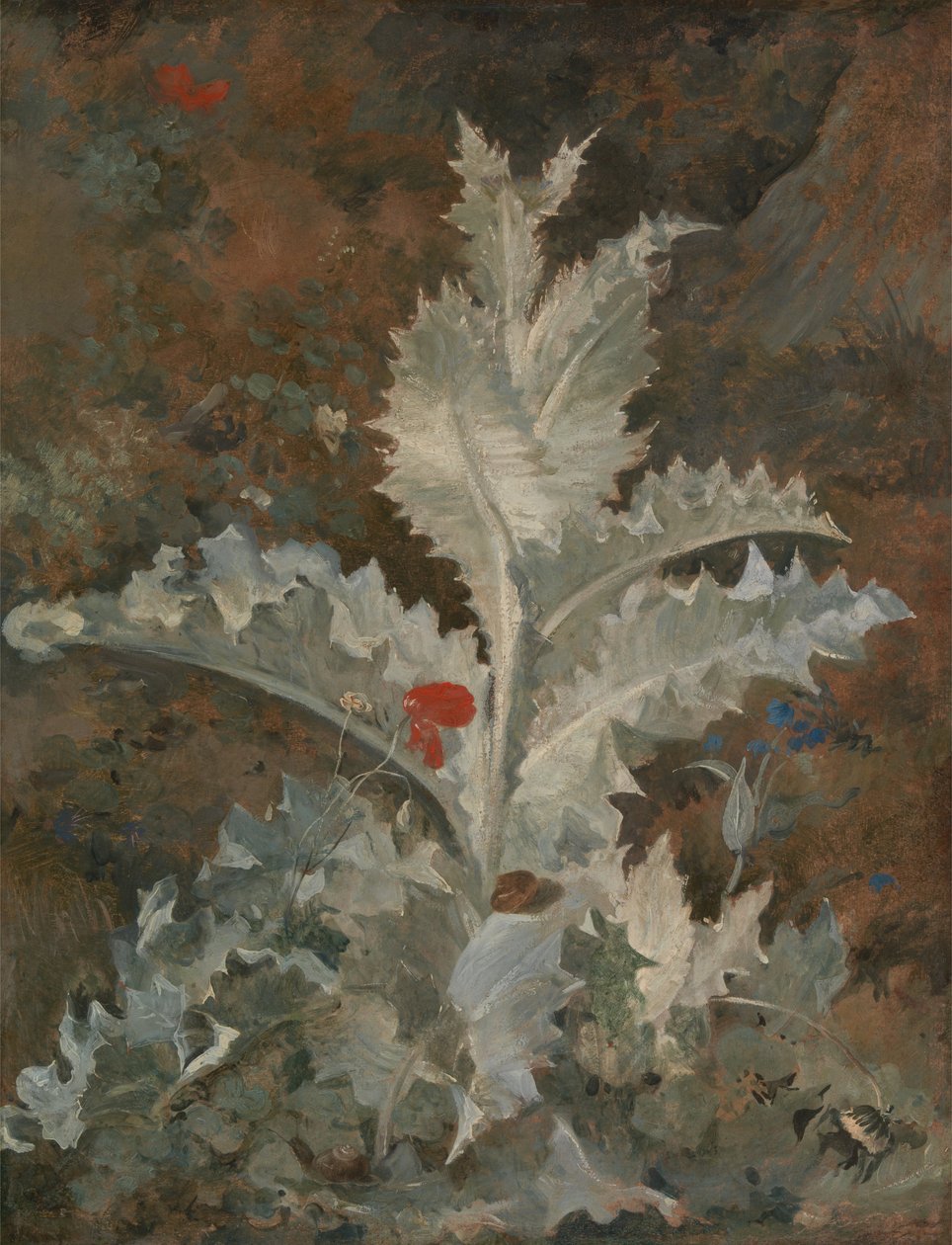 En tidsel af John Crome