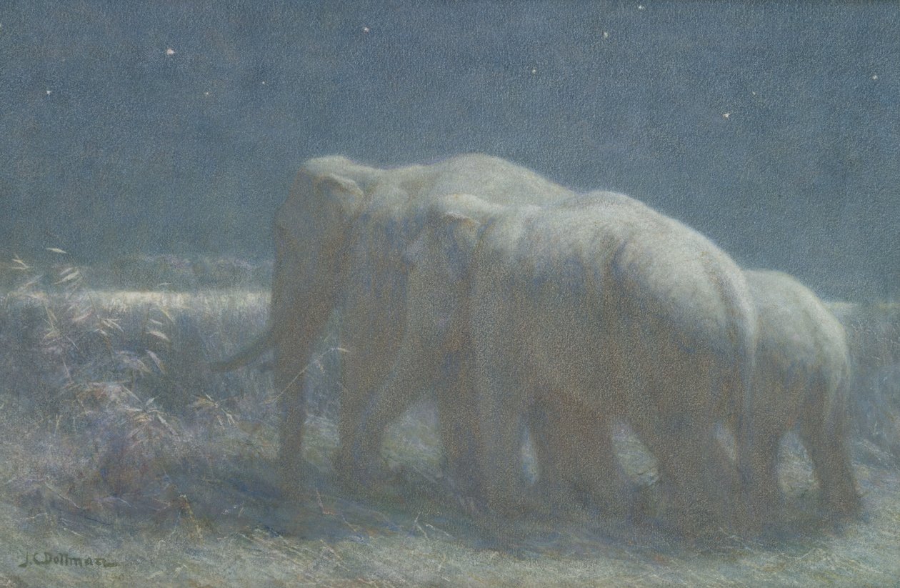 Nat, 1908 (wc og kridt på papir) af John Charles Dollman