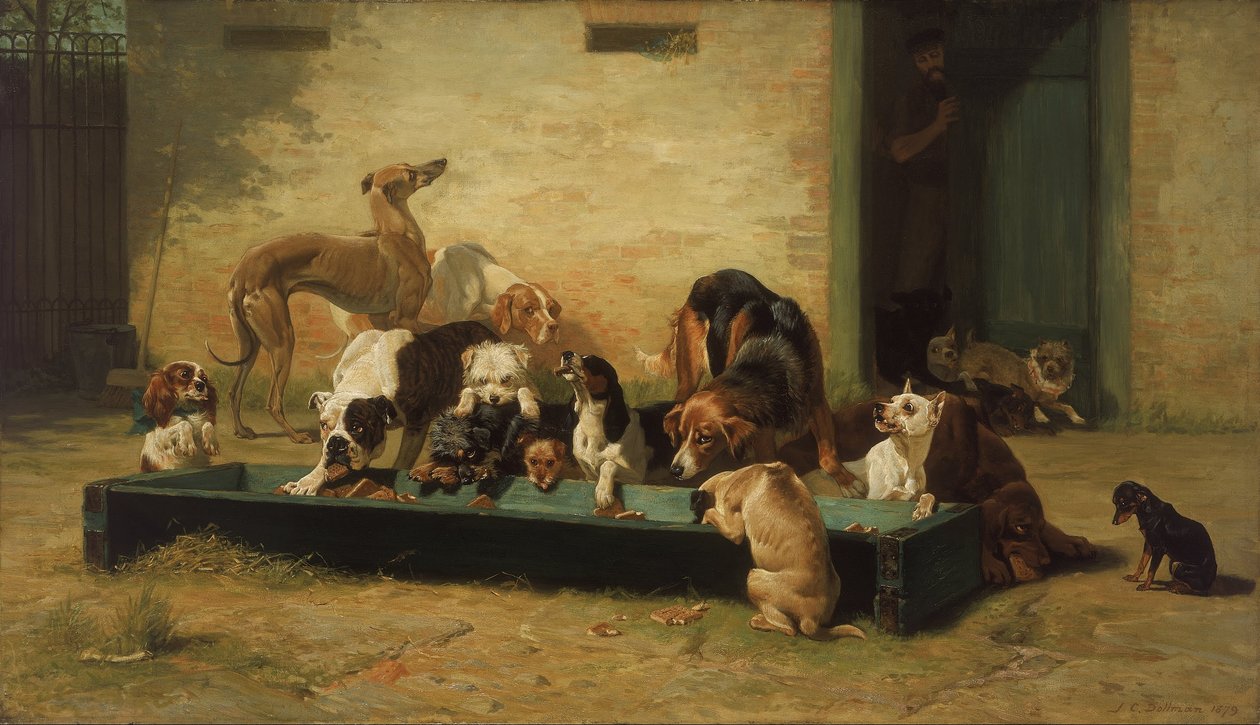 Tabel dHote på et hundehjem af John Charles Dollman