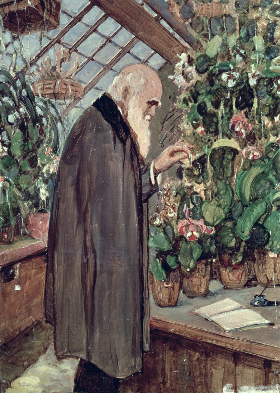 Charles Robert Darwin (1809-82) af John Collier