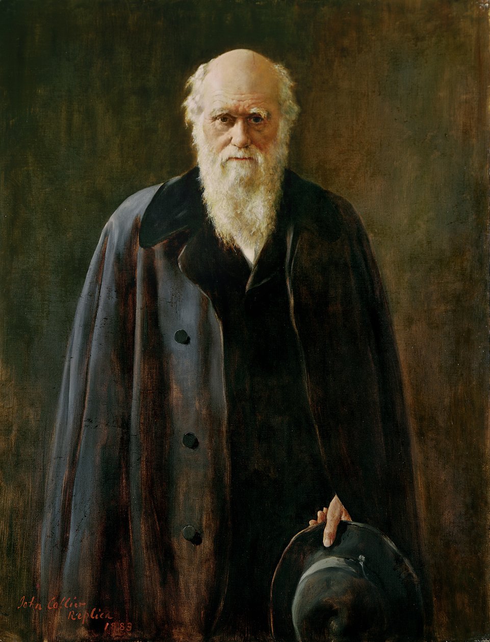 Portræt af Charles Darwin (1809-1882) 1883 af John Collier