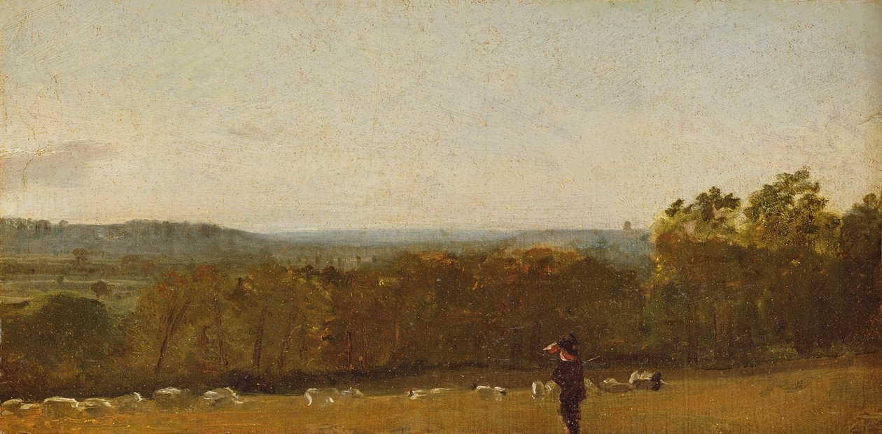 En hyrde i et landskab ser på tværs af Dedham Vale mod Langham, ca. 1810 (olie på papir lagt på lærred) af John Constable