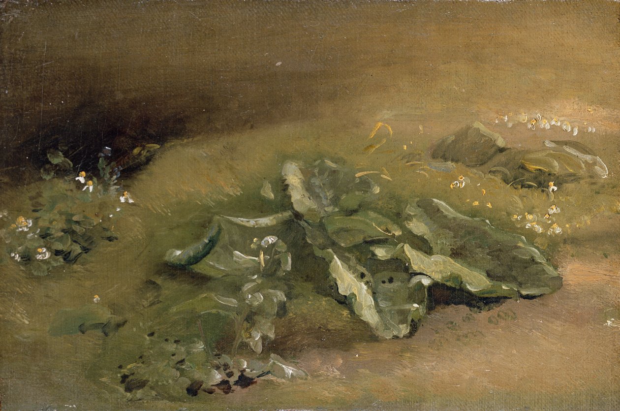 En undersøgelse af burre af John Constable