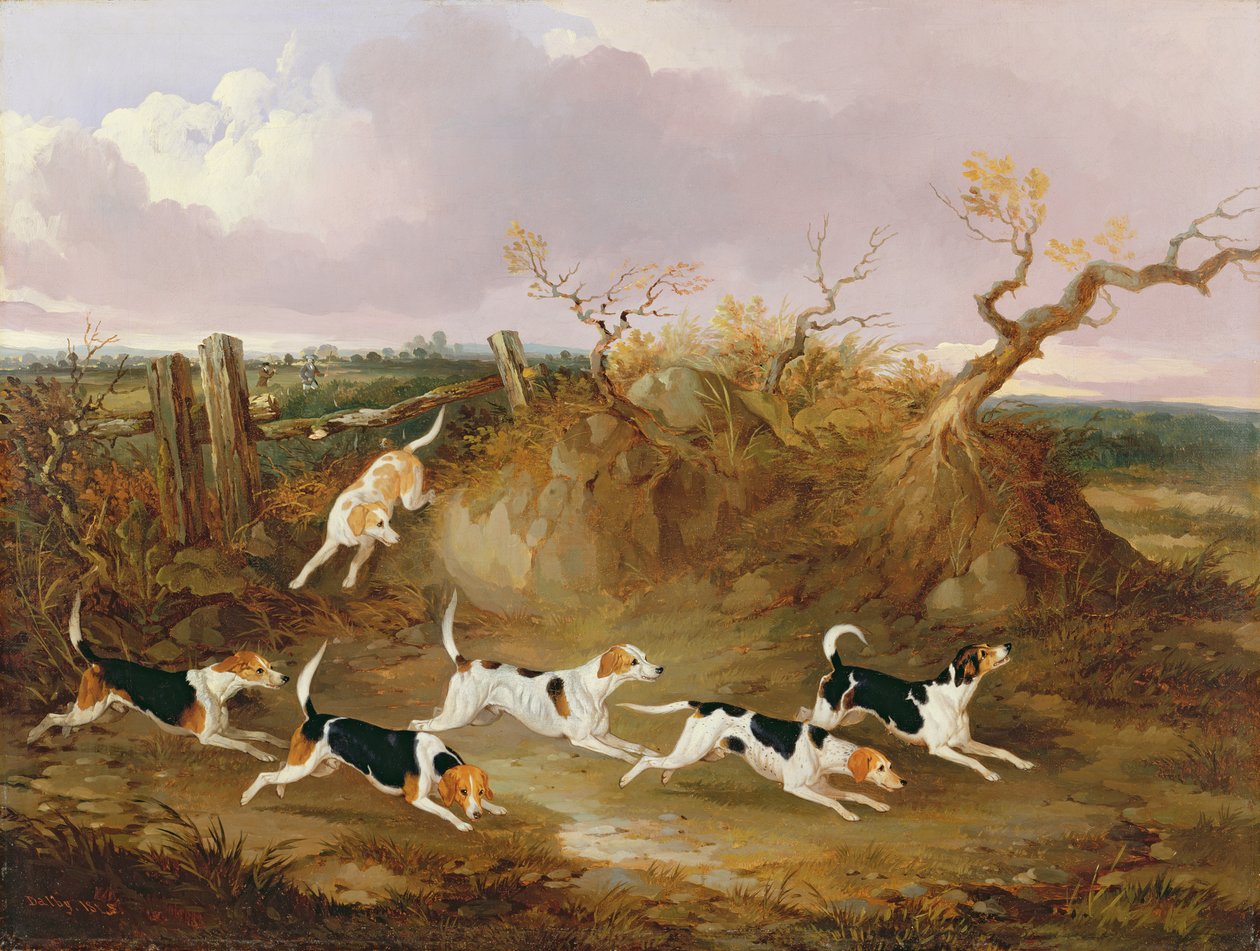 Beagles i fuld skrig, 1845 af John Dalby
