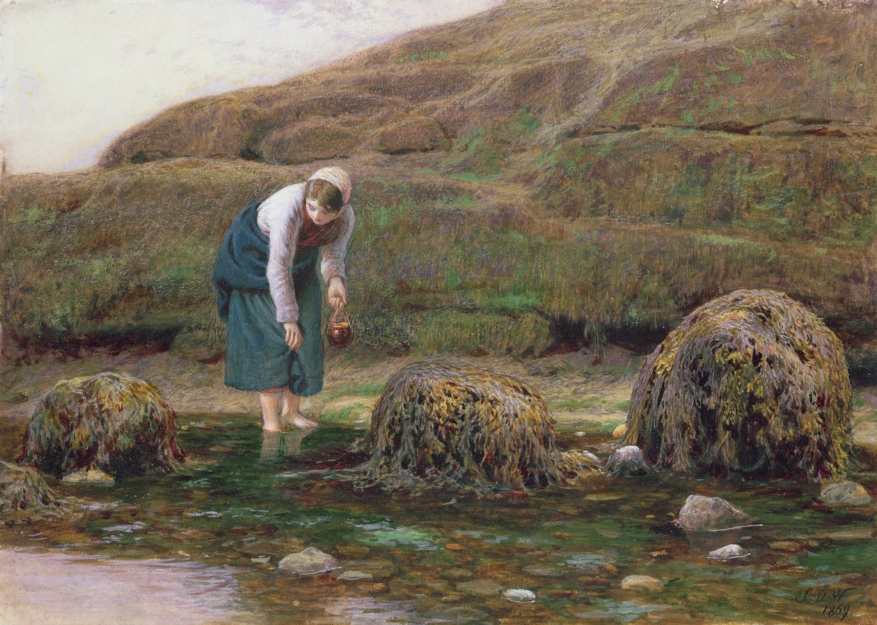 The Winkle Gatherer, 1869 af John Dawson Watson