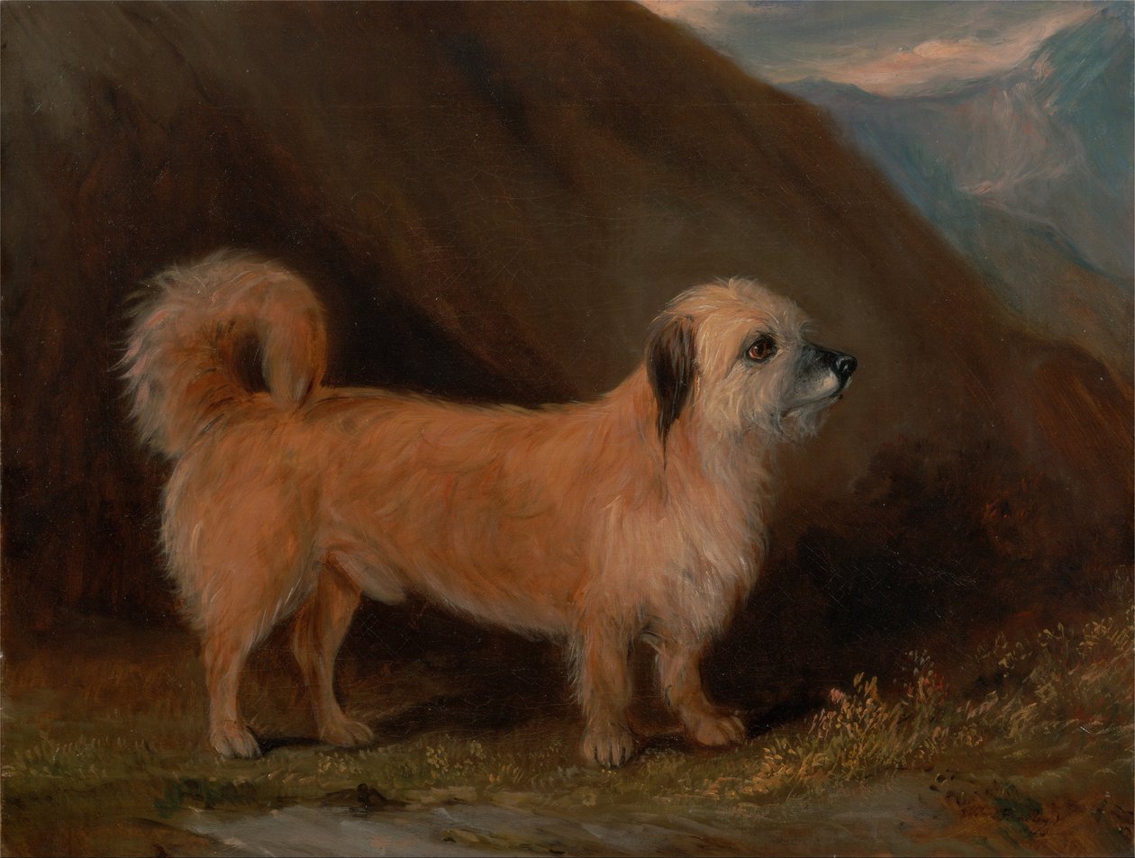 En Dandie Dinmont Terrier af John E. Ferneley