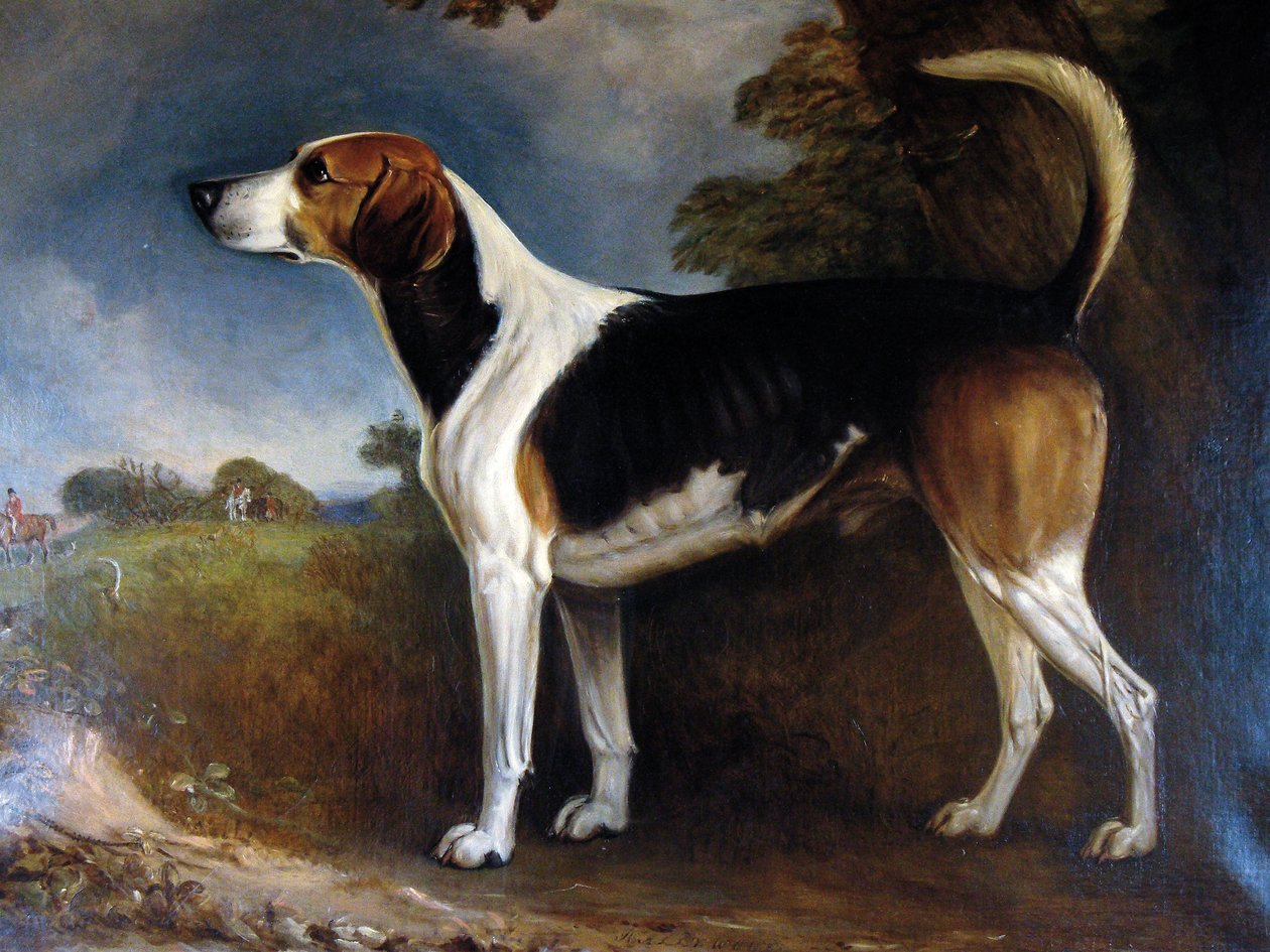Rallywood, 1850 af John E. Ferneley