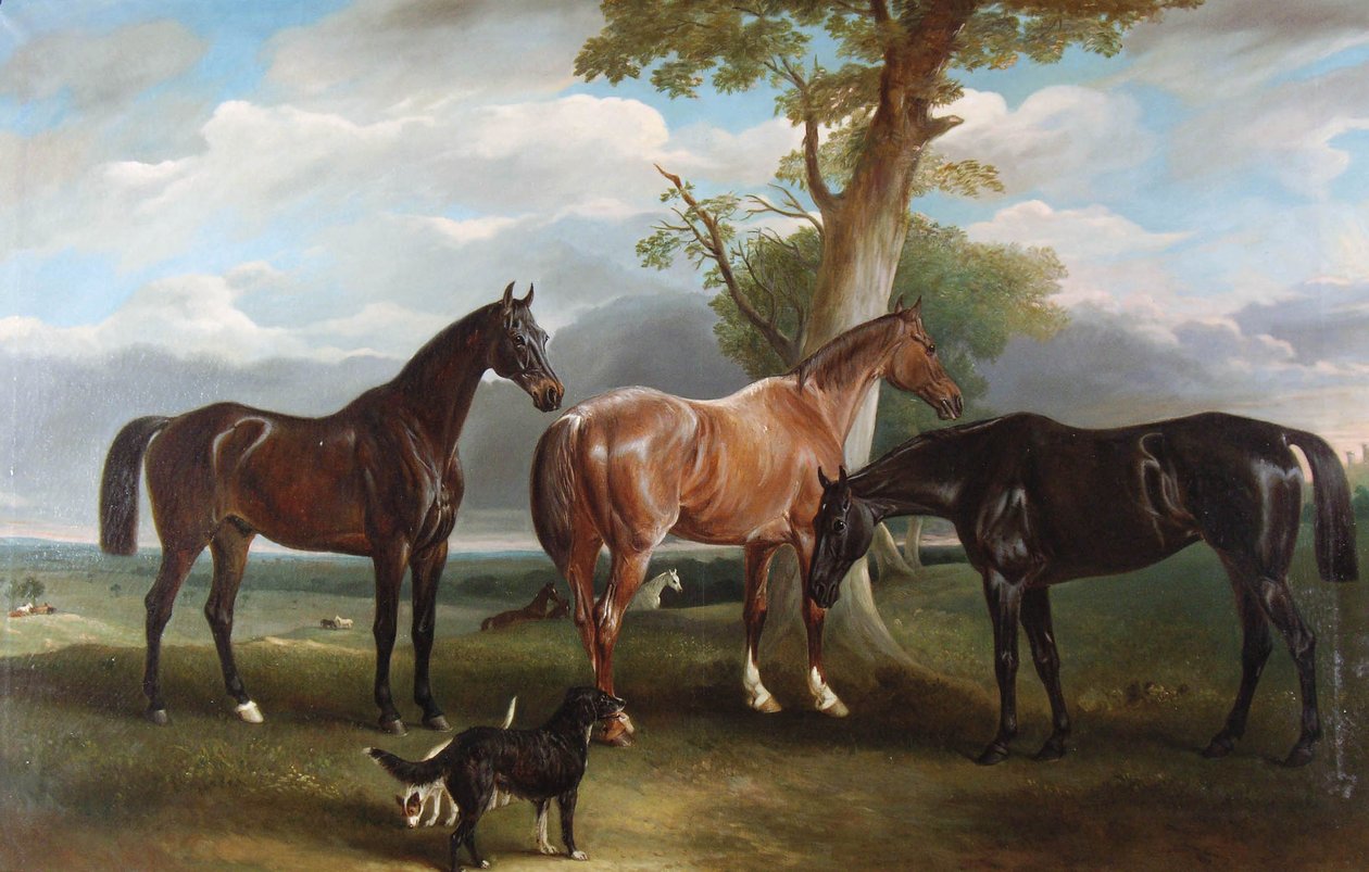 Den 6. hertugs foretrukne jægere og hunde, 1857 af John E. Ferneley