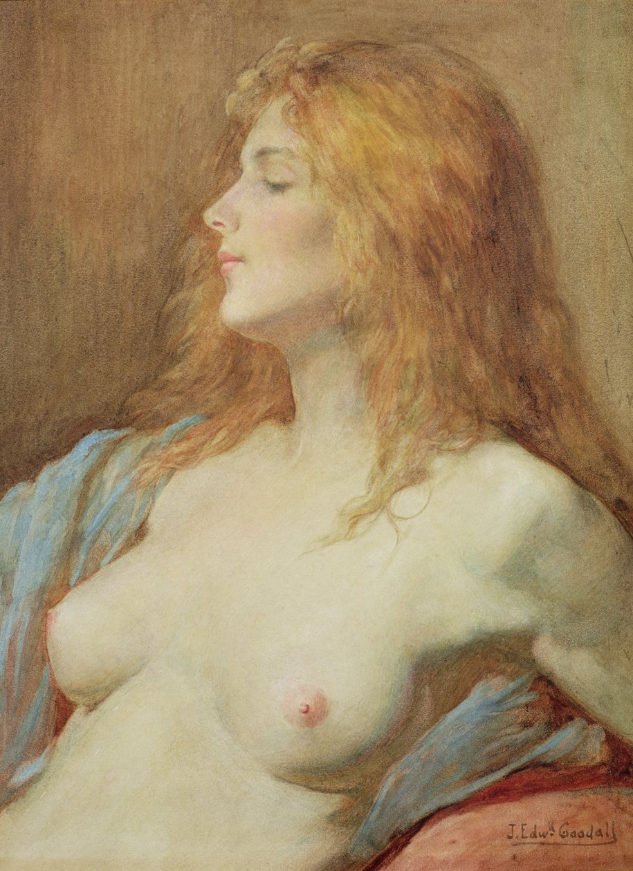 En rødhåret af John Edward Goodall