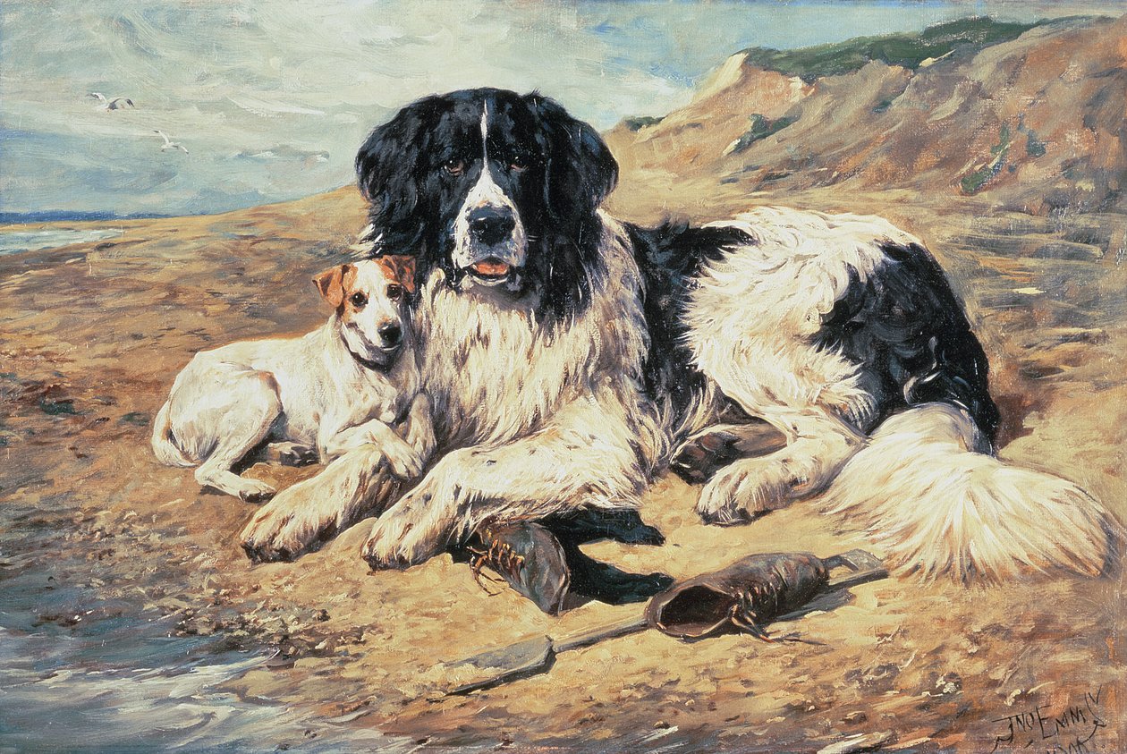 Hunde ser på badende, 1900 af John Emms
