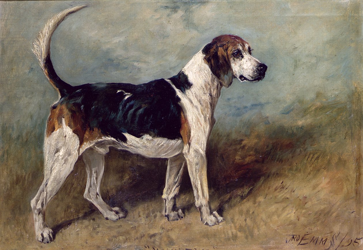 Månesten, 1895 af John Emms