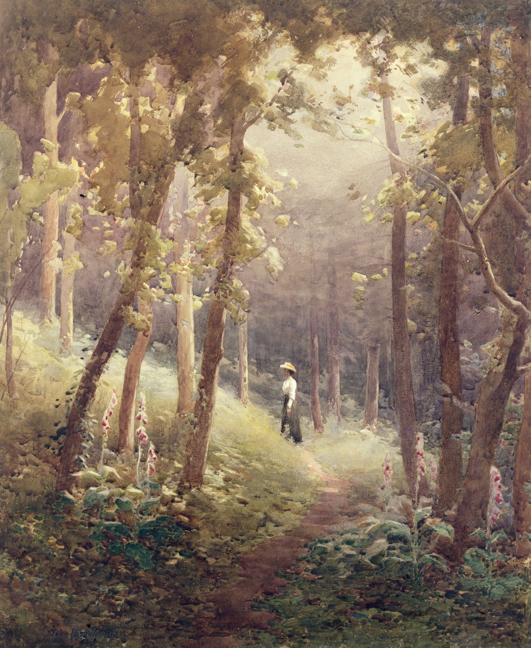 En skovglade af John Farquharson