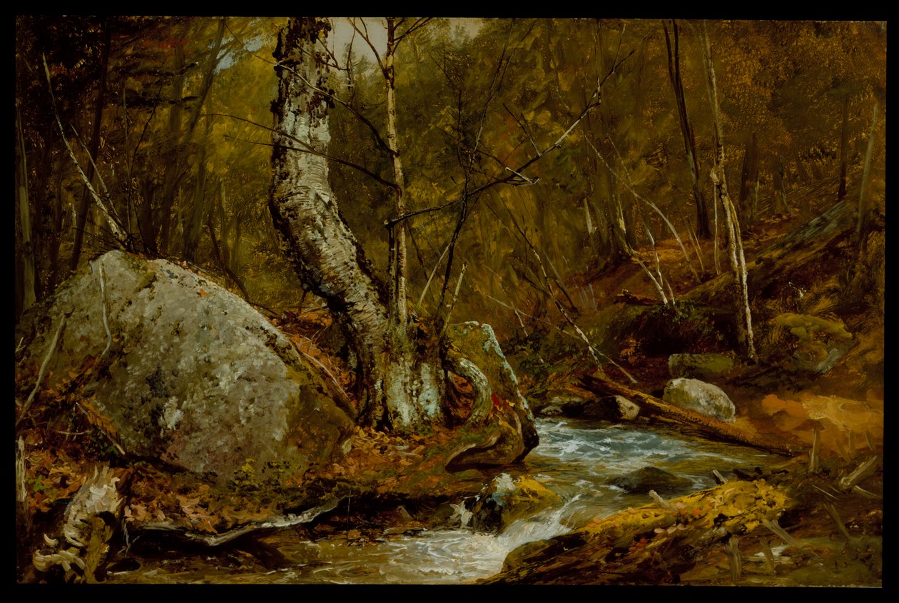 Woodland Interiør, ca. 1850-55 af John Frederick Kensett
