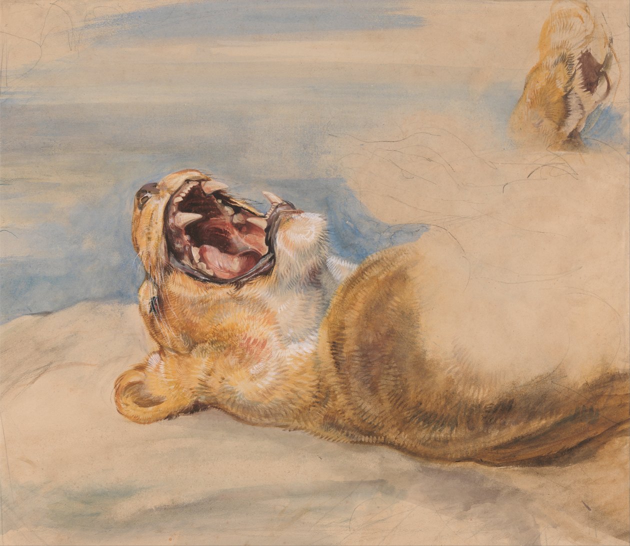 Undersøgelse af en løvinde af John Frederick Lewis