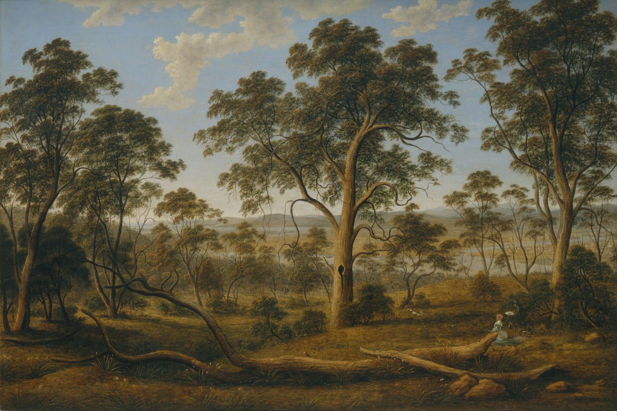 Launceston og floden Tamar af John Glover