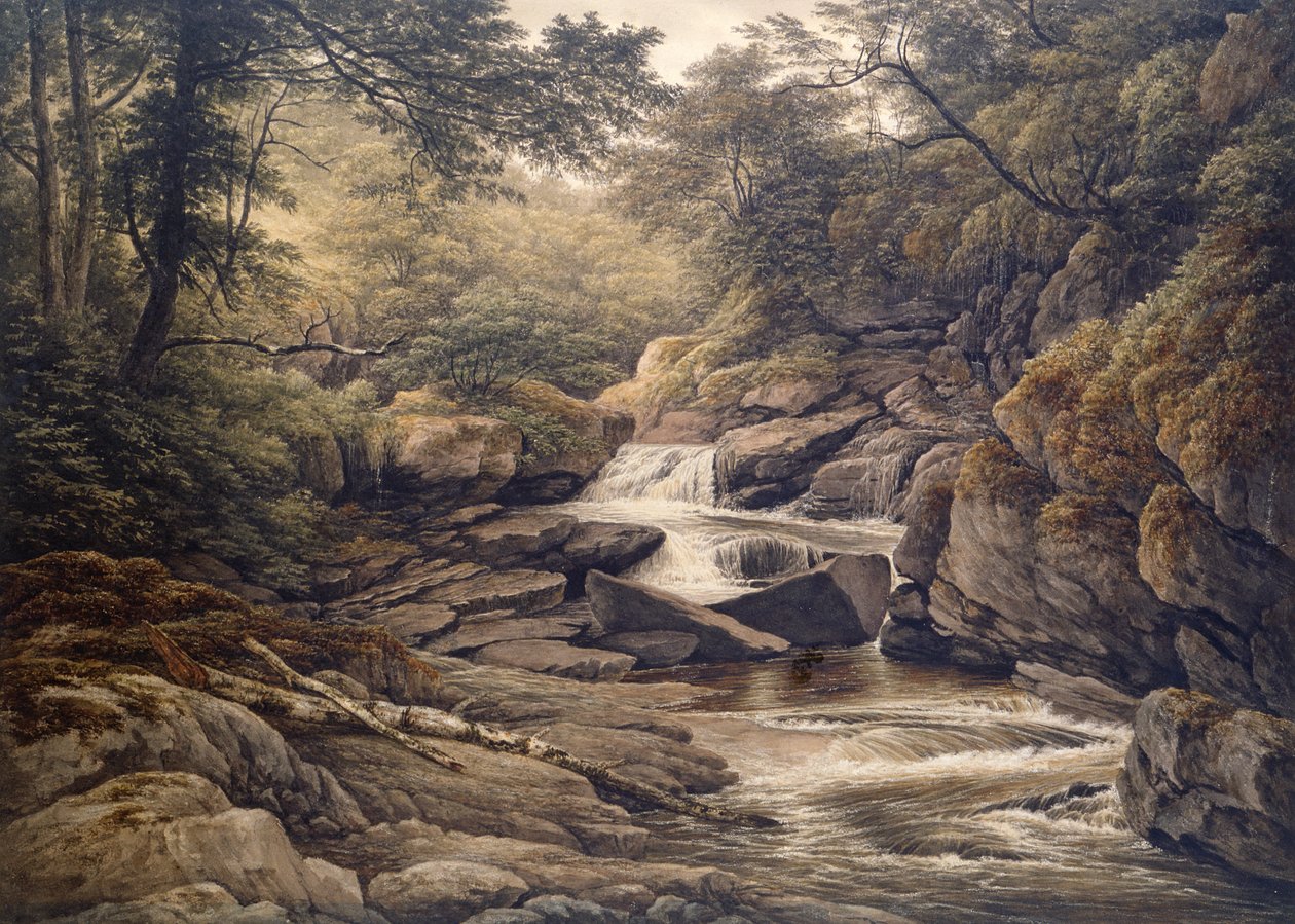 Rhiadr Ddu, nær Maentwrog, North Wales af John Glover
