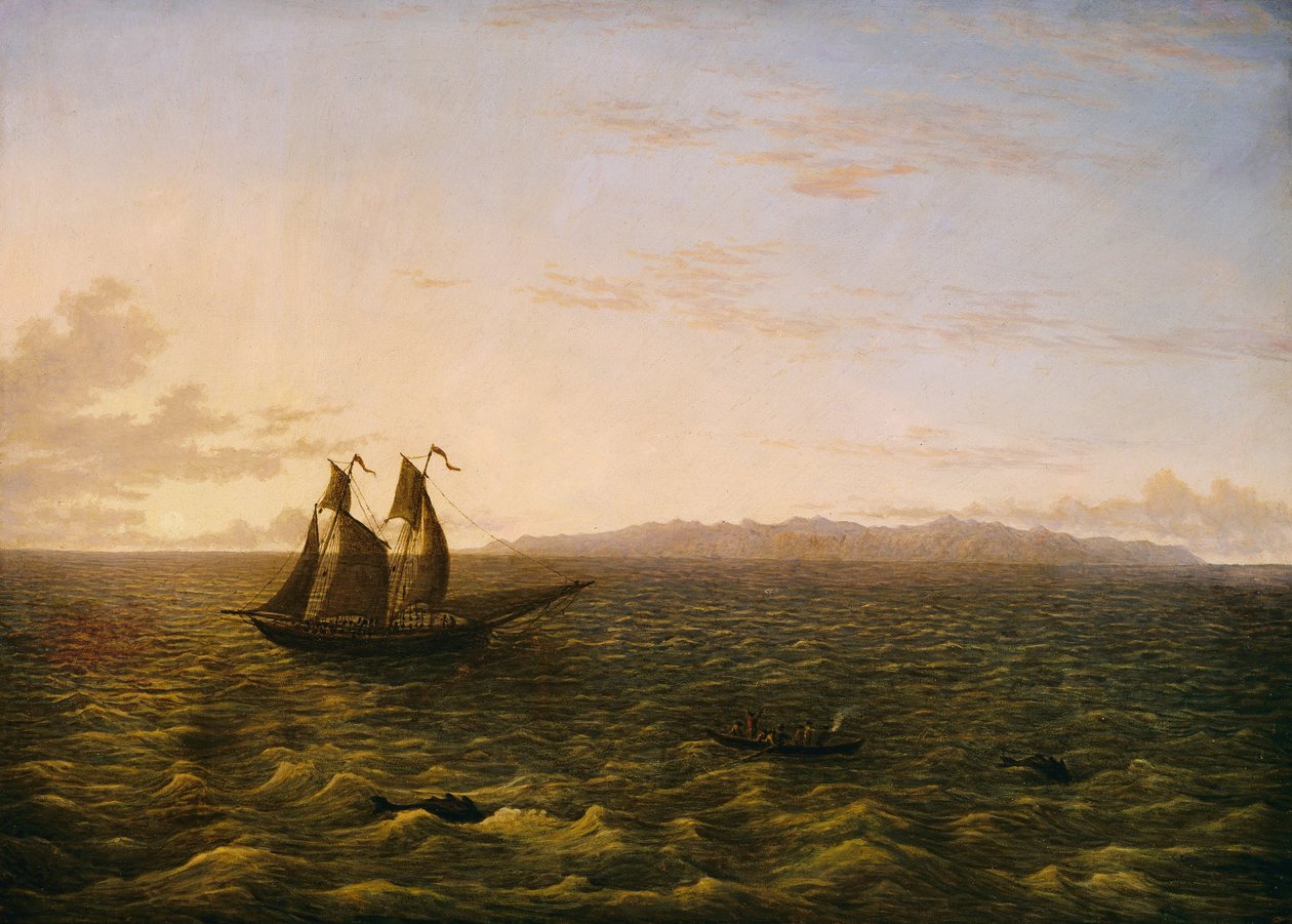 Øen Madeira af John Glover