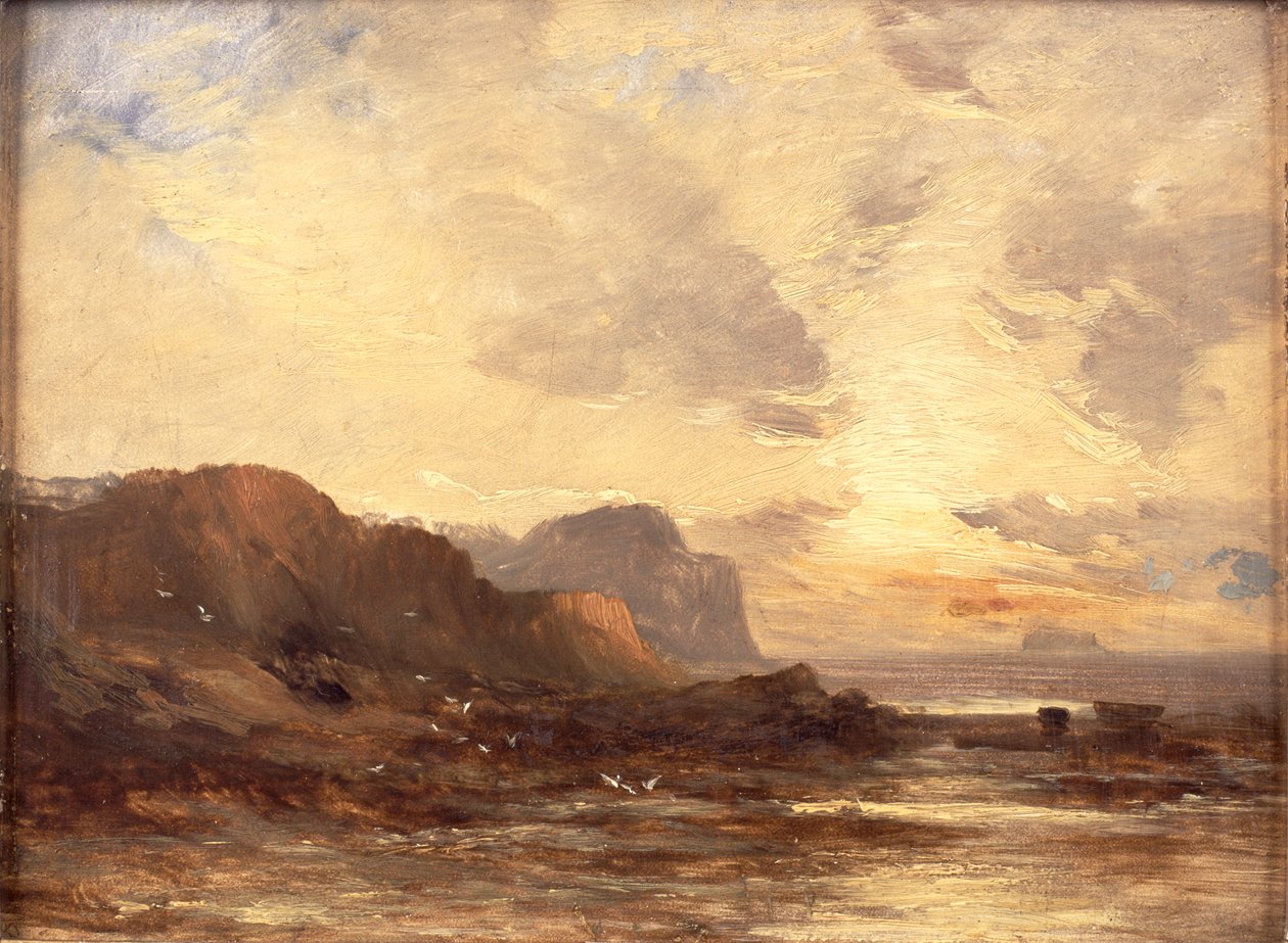 Berwickshire-kysten af John Milne Donald