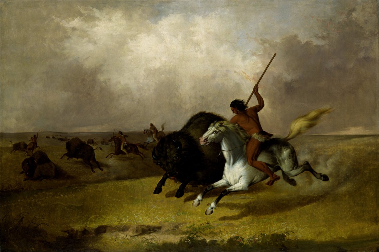 Buffalo Hunt på Southwestern Prairies af John Mix Stanley