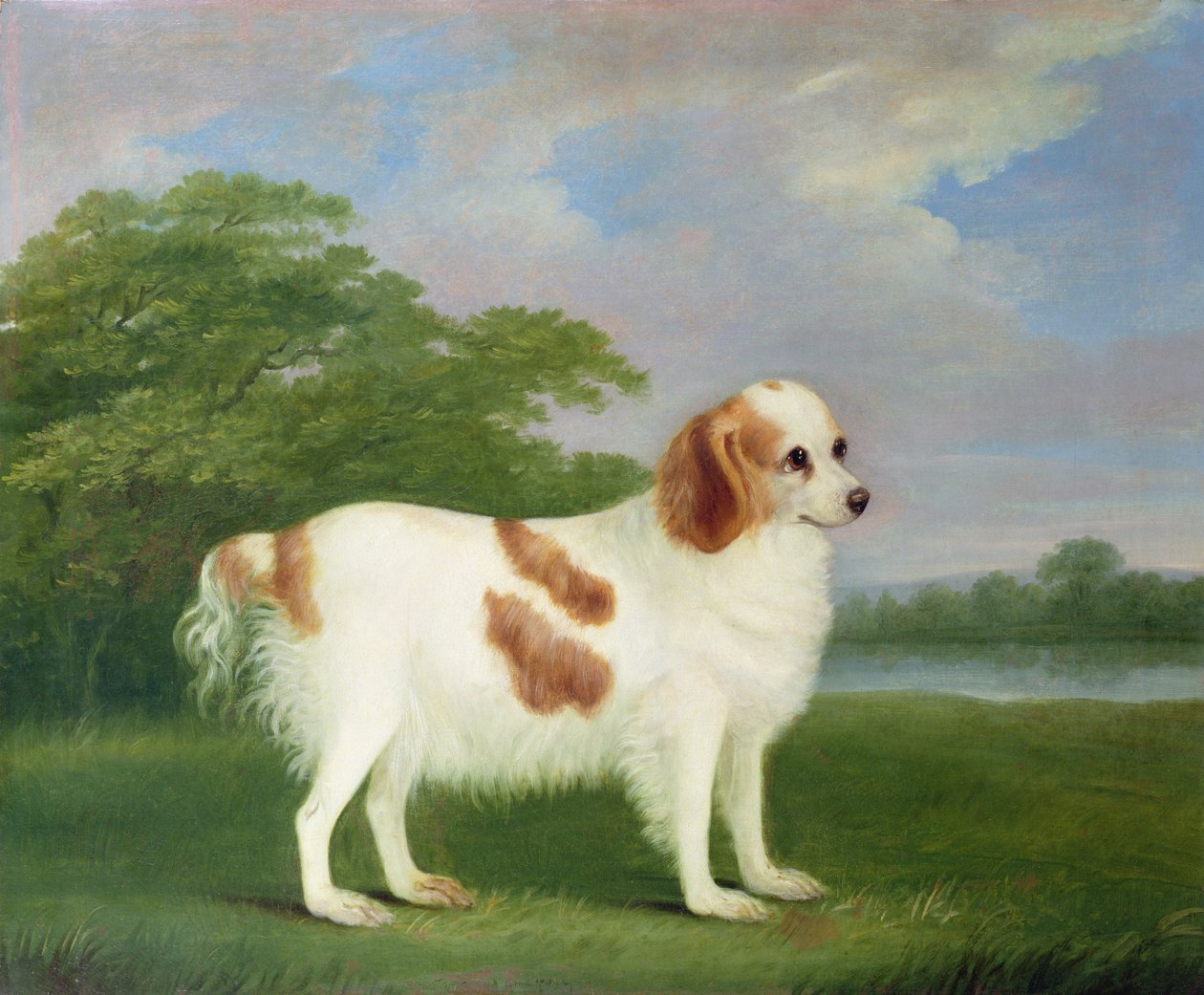 Spaniel i et landskab, 1789 af John Nott Sartorius