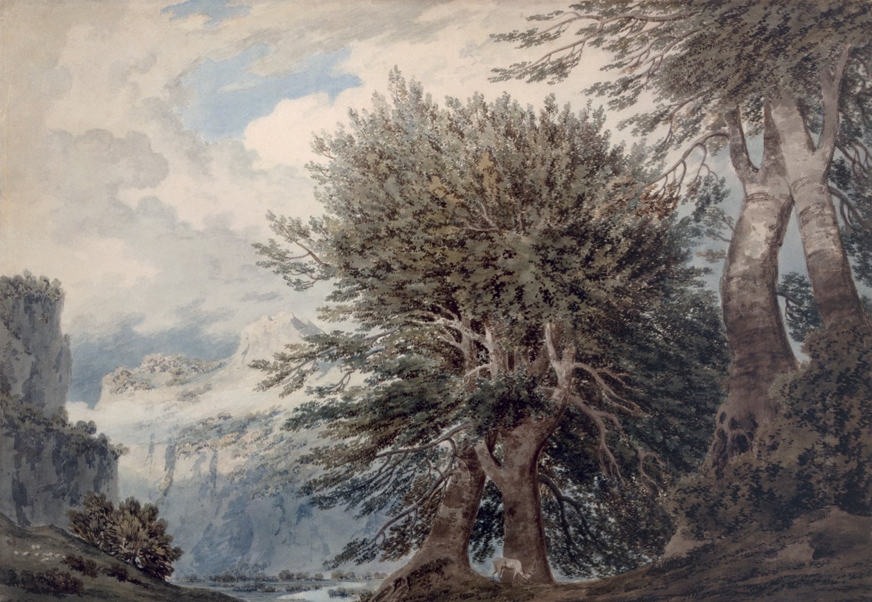 Bjerglandskab med bøgetræer, 1792 af John Robert Cozens