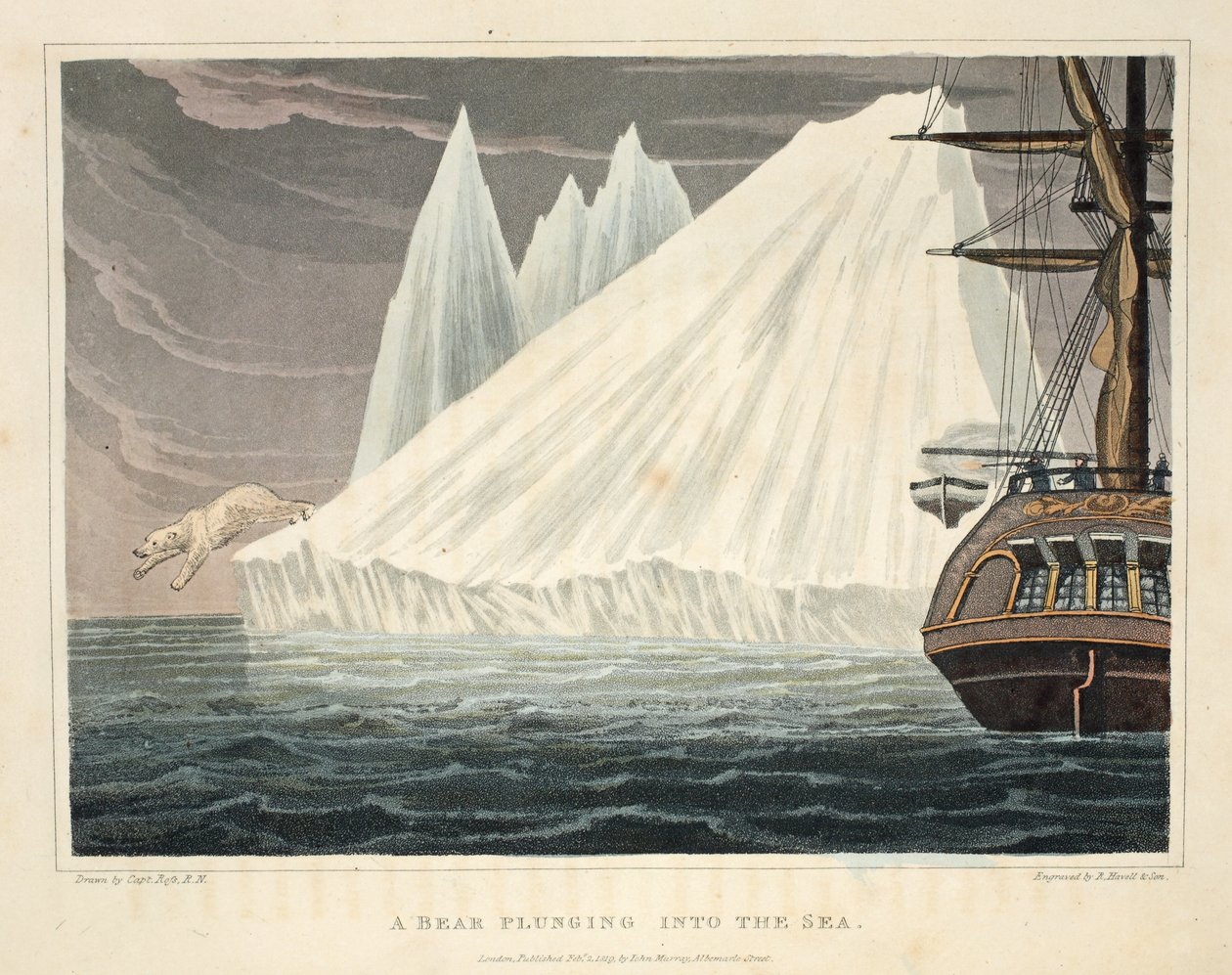 En bjørn, der kaster sig ud i havet, illustration fra "A Voyage of discovery...", 1819 (håndkoloreret stik) af John Ross
