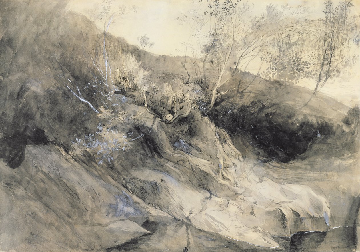 The Rocky Bank of a River - Verso: skitse af løv, ca. 1853 (vask med pen og blæk over grafit på papir) af John Ruskin