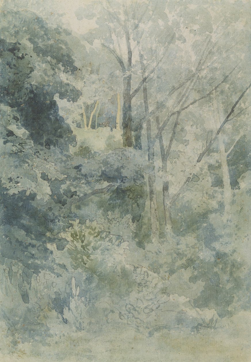 I Rokeby Park, ca. 1805 (wc og blyant på papir) af John Sell Cotman