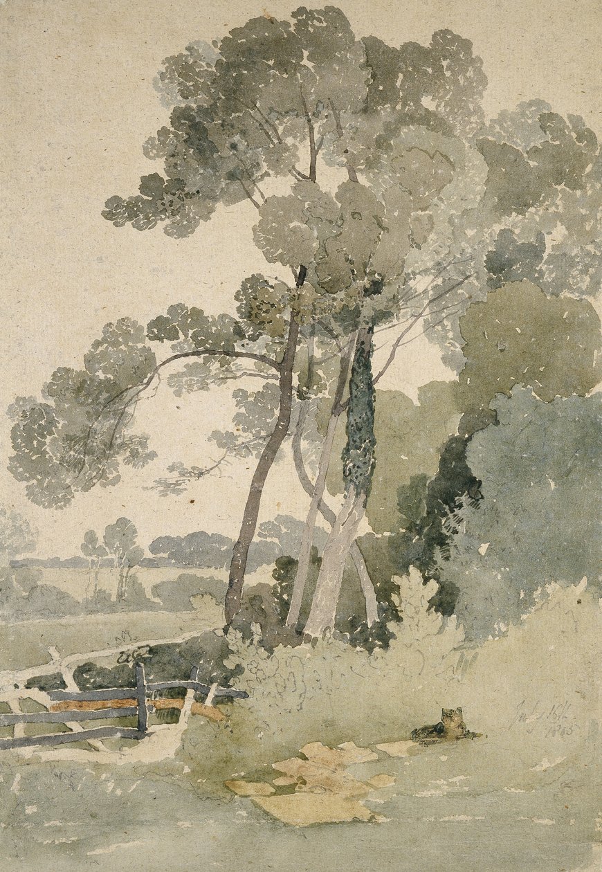 Nær Brandsby, Yorkshire, 1865 (akvarel på papir) af John Sell Cotman