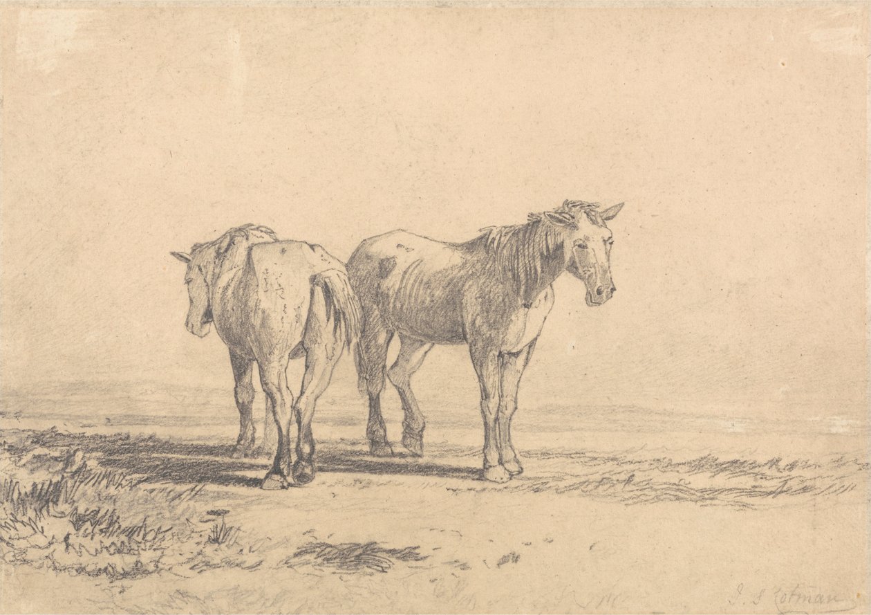 To gamle heste, der står på en mark af John Sell Cotman