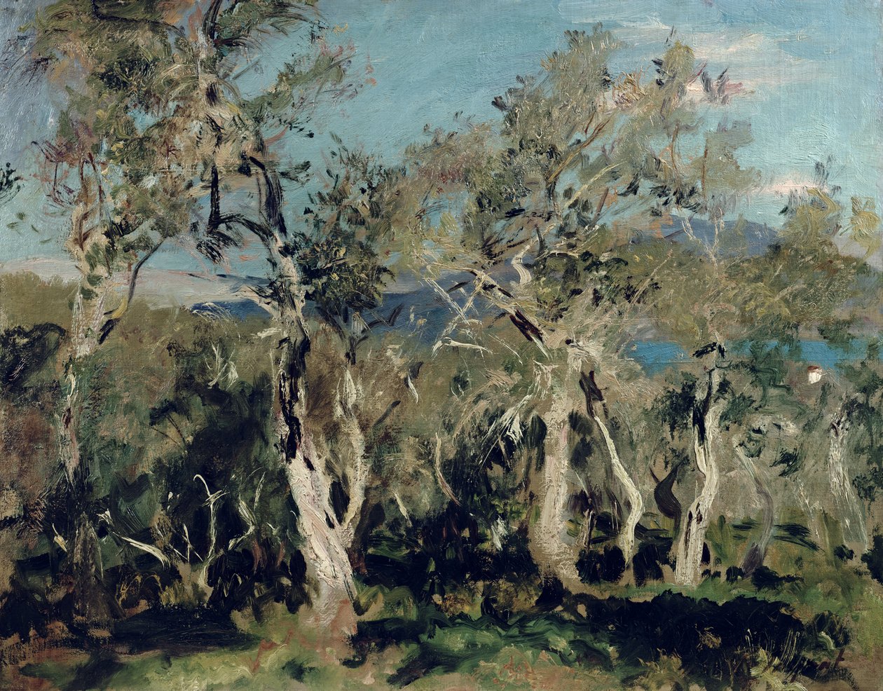 Oliven, Korfu, 1912 af John Singer Sargent