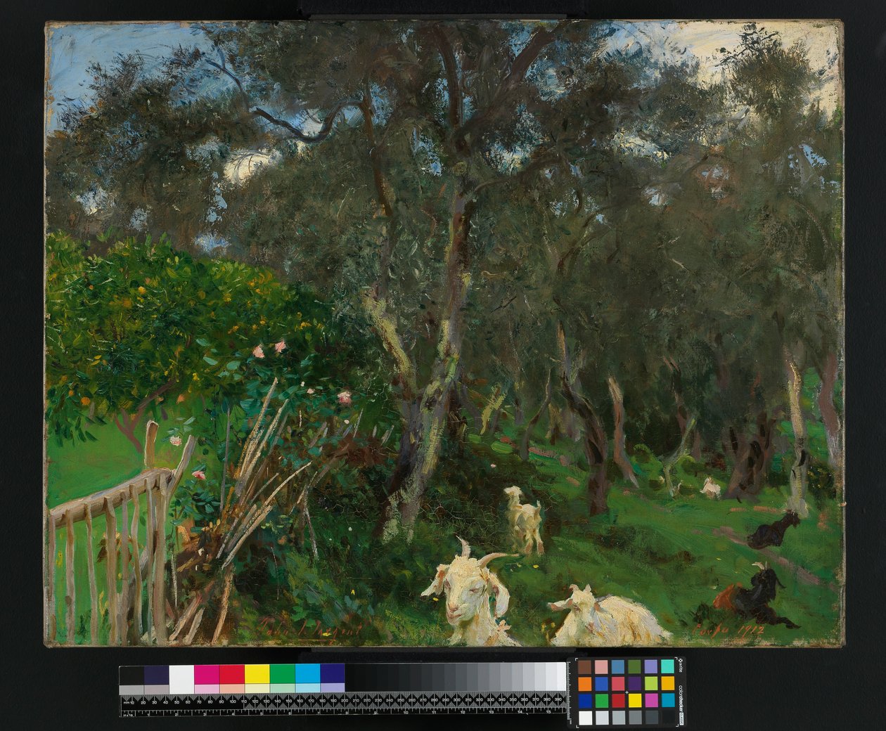 Oliven på Korfu, 1909 af John Singer Sargent