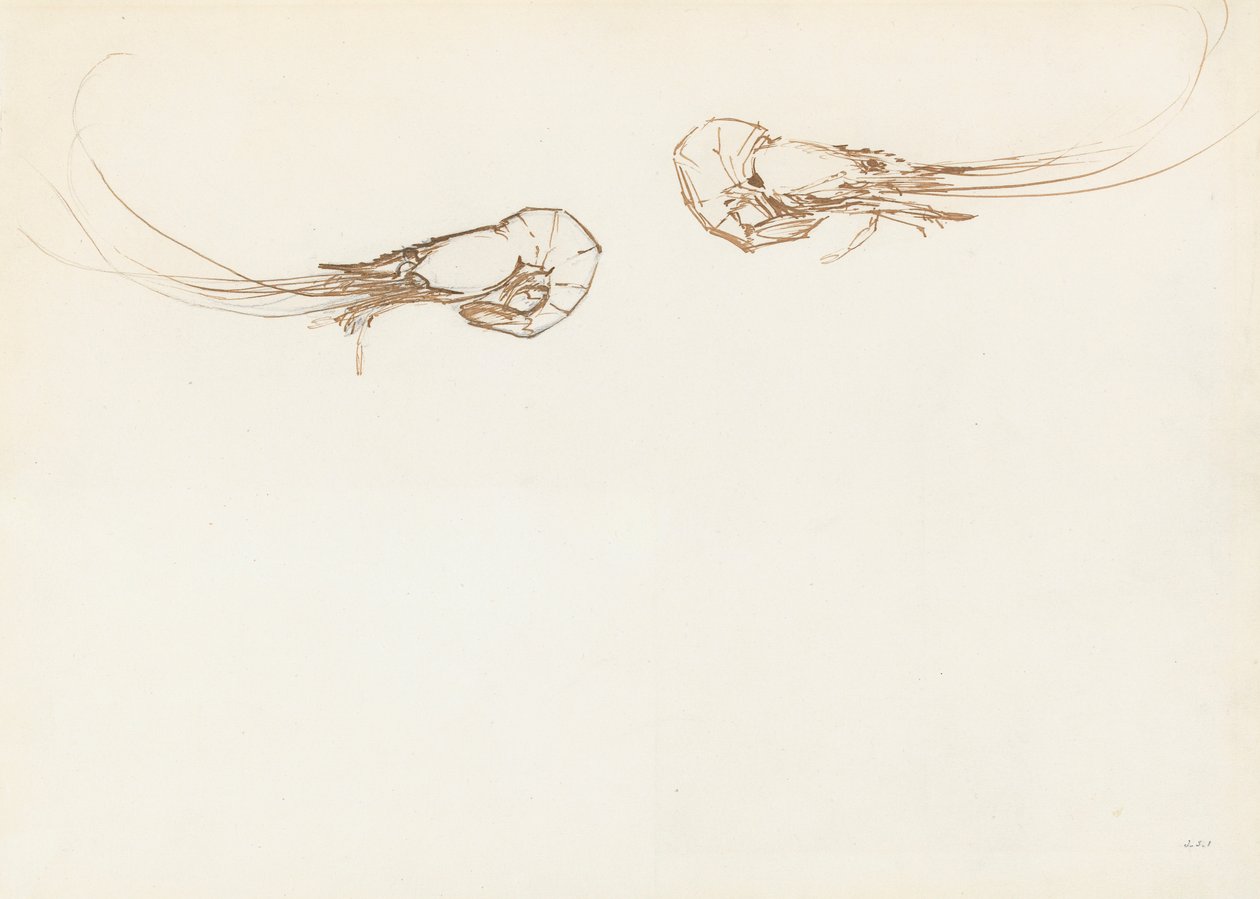 To rejer (pen og blæk over grafit på papir) af John Singer Sargent