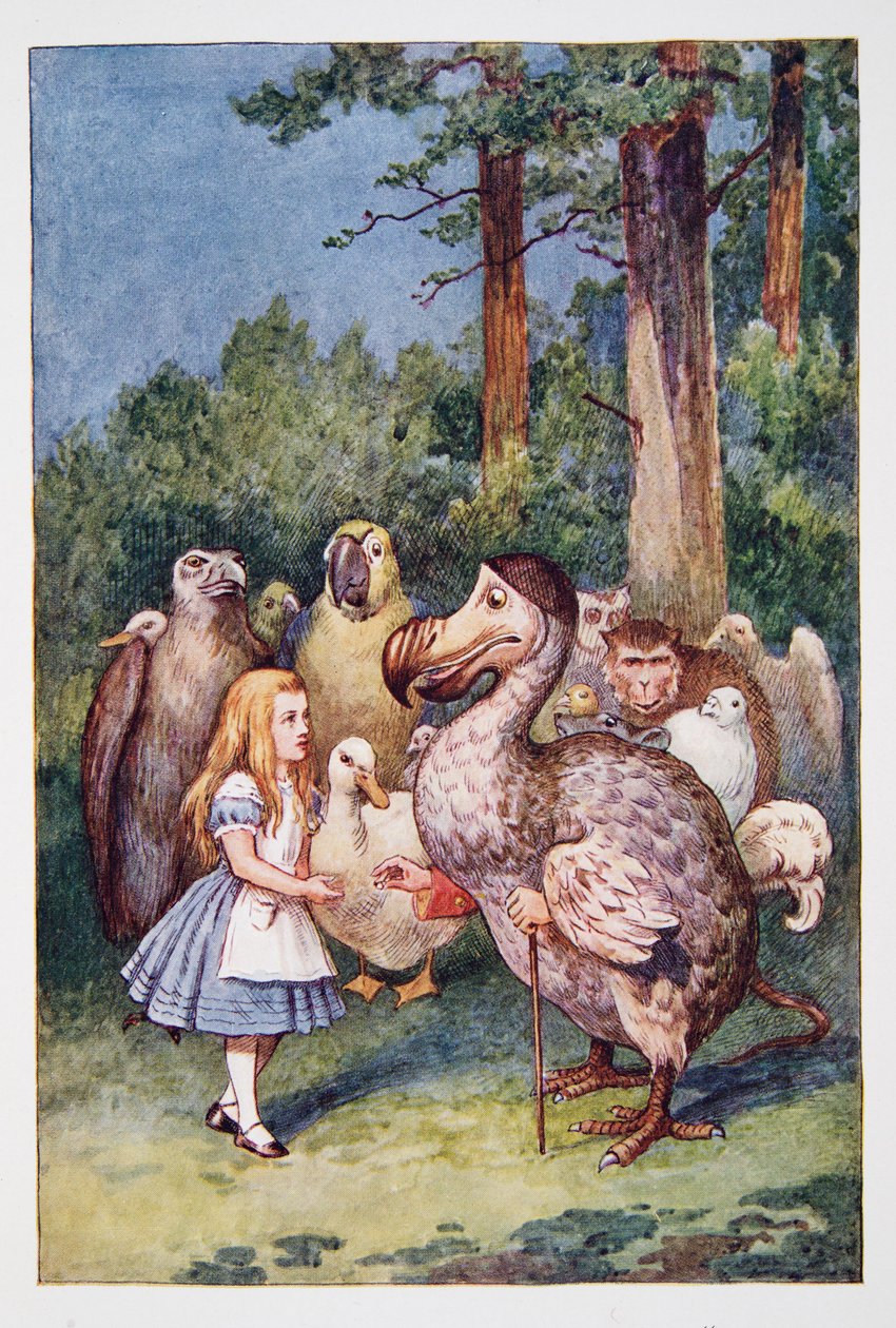 Alice møder Dodo, fra Alices Adventures In Wonderland And Through The Looking-Glass And What Alice Found There, af Lewis Carroll (1832 - 98), udgivet 1911 (farvet litografi) af John Tenniel
