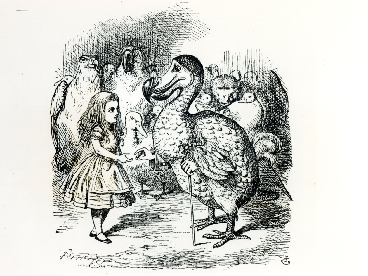 Alice møder Dodo, illustration fra 