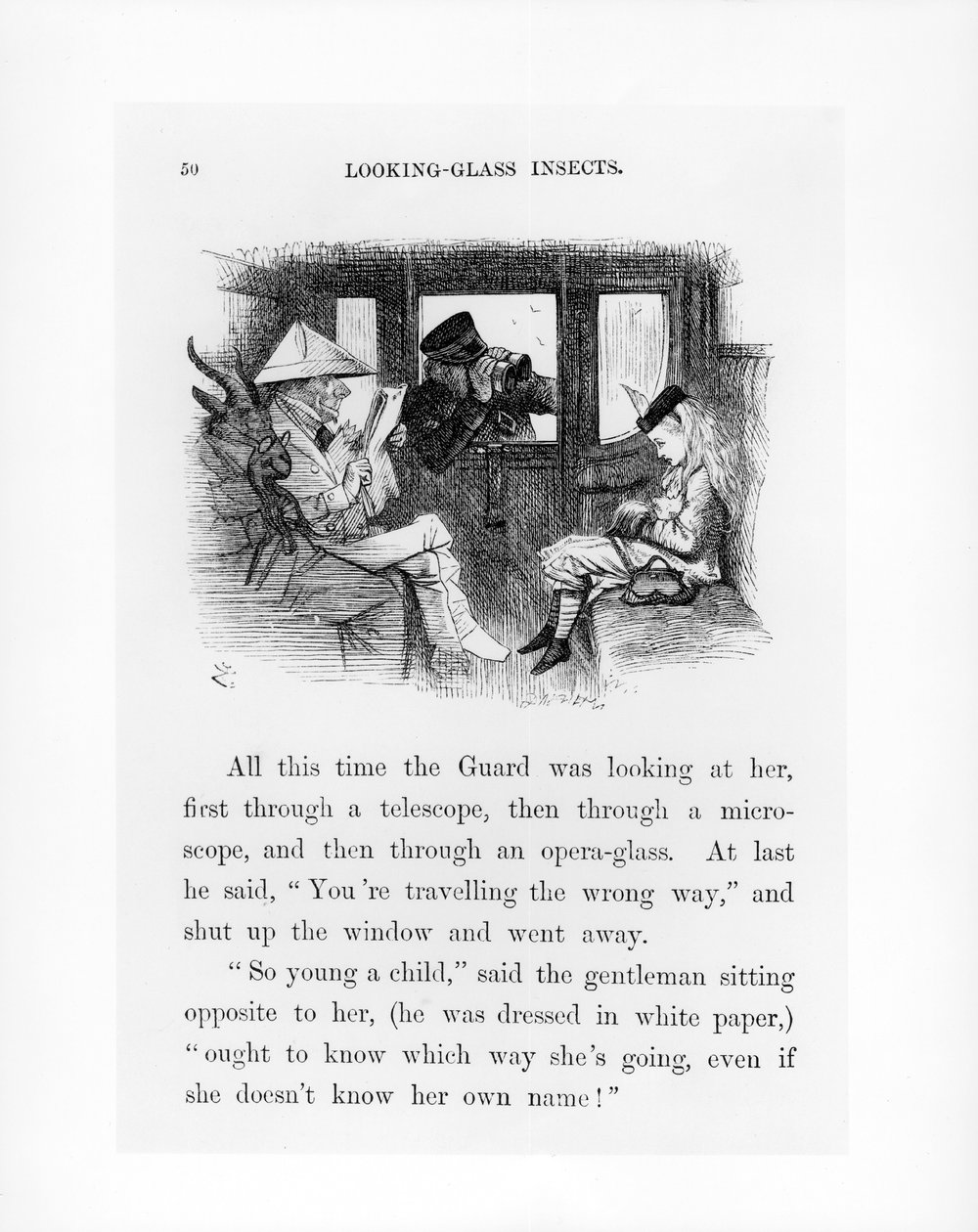 Looking-Glass Insects, illustration fra 
