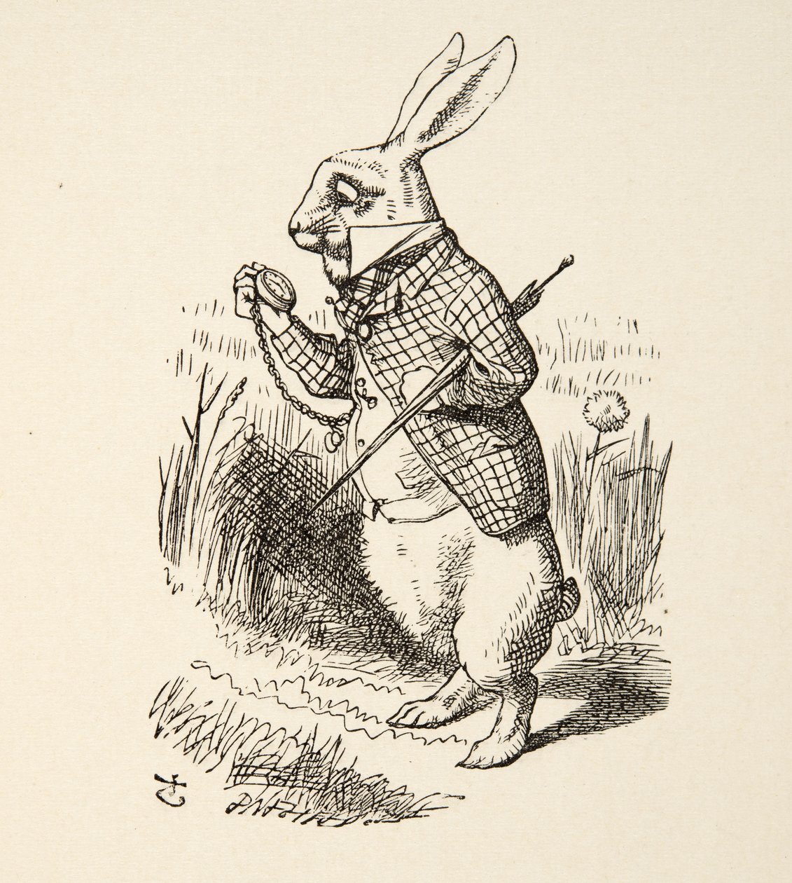 The White Rabbit, fra Alices Adventures in Wonderland af Lewis Carroll (1832 - 98), pub. 1891 af John Tenniel