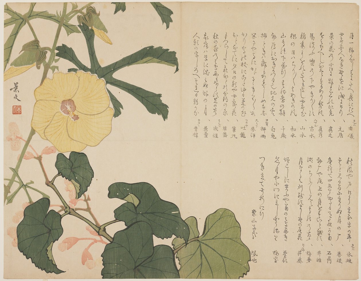 (Gul blomstrende busk), ca. 1818-1829 af John Thomas Barber Beaumont