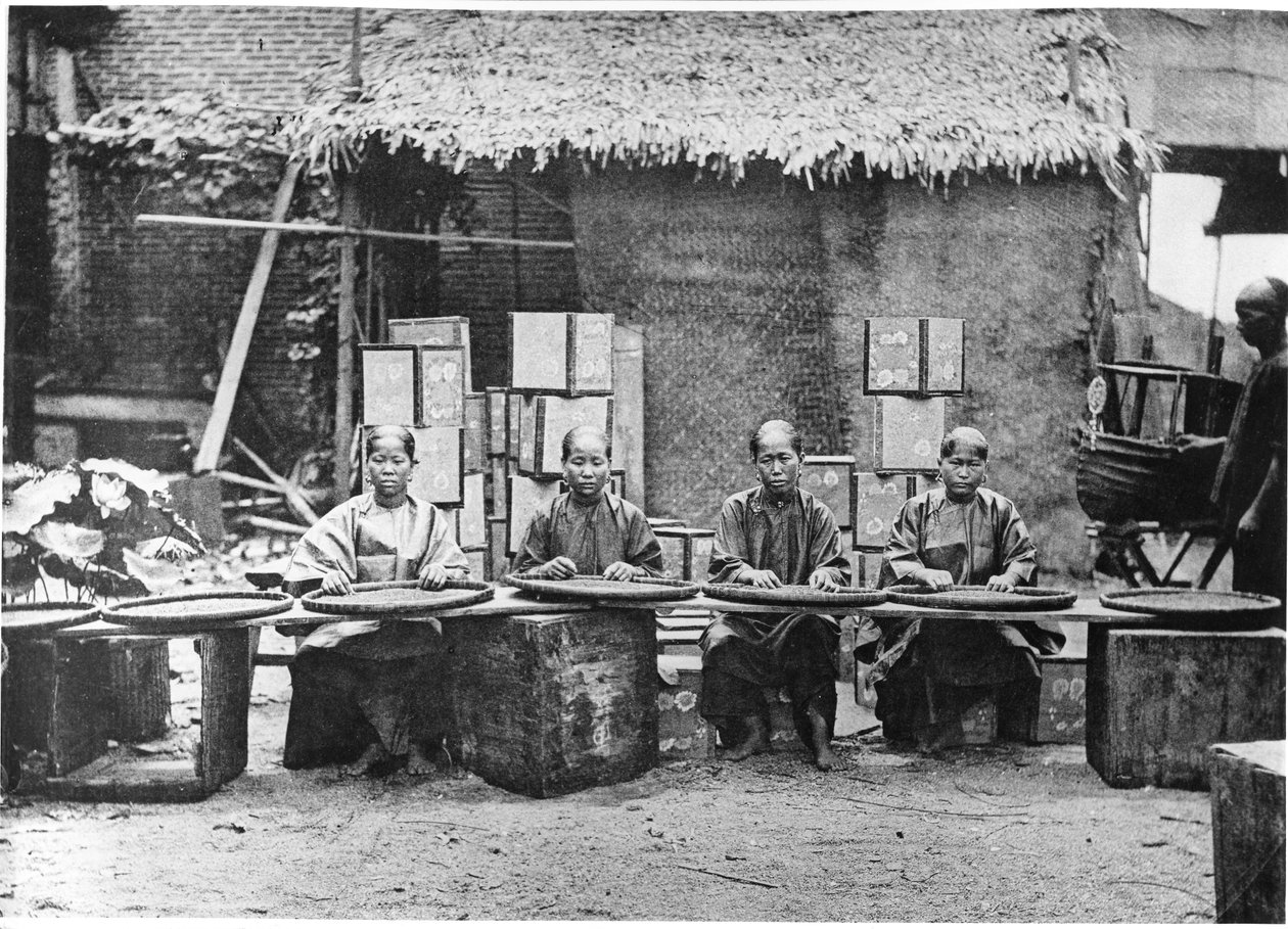 Teplukning i Canton, ca. 1872 af John Thomson