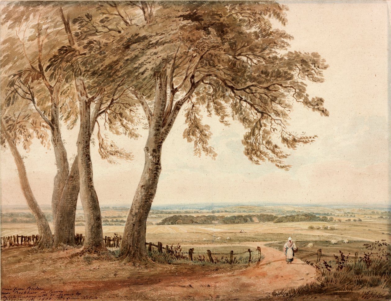 Udsigt fra Polesden, Surrey, 1800 af John Varley