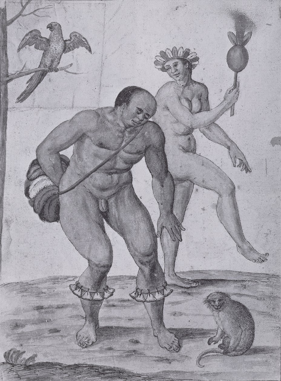 Brasilianske indianere danser af John White