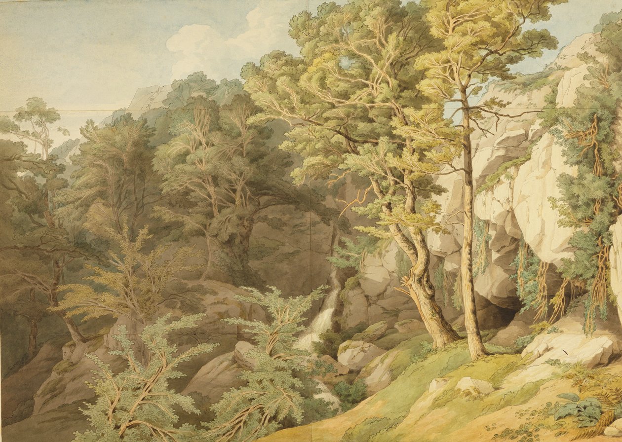 Canonteign, Devon, 1804 (pen og blæk og wc på papir) af John White Abbott