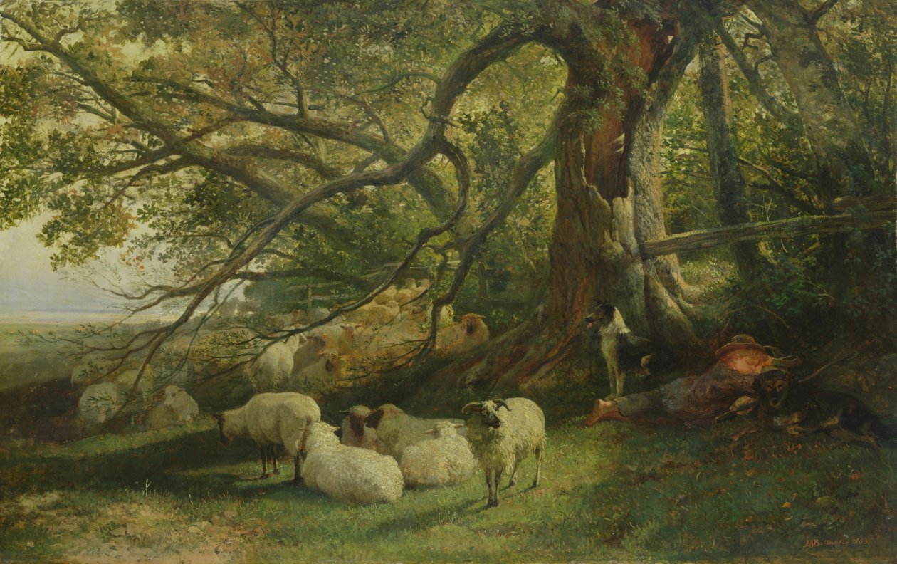 Hvilende flok, 1863 af John William Bottomley