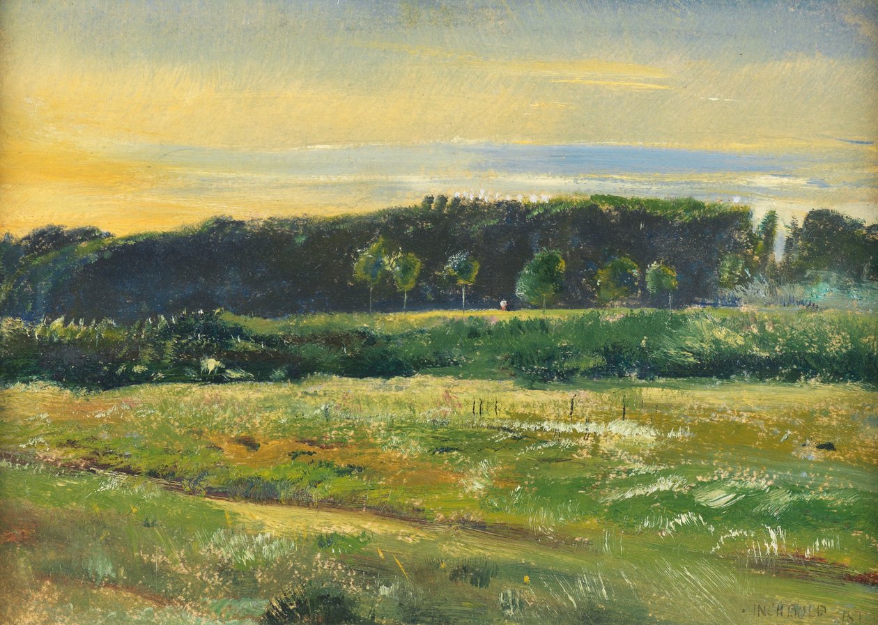 The Common, juni, 1871 (olie på kort) af John William Inchbold