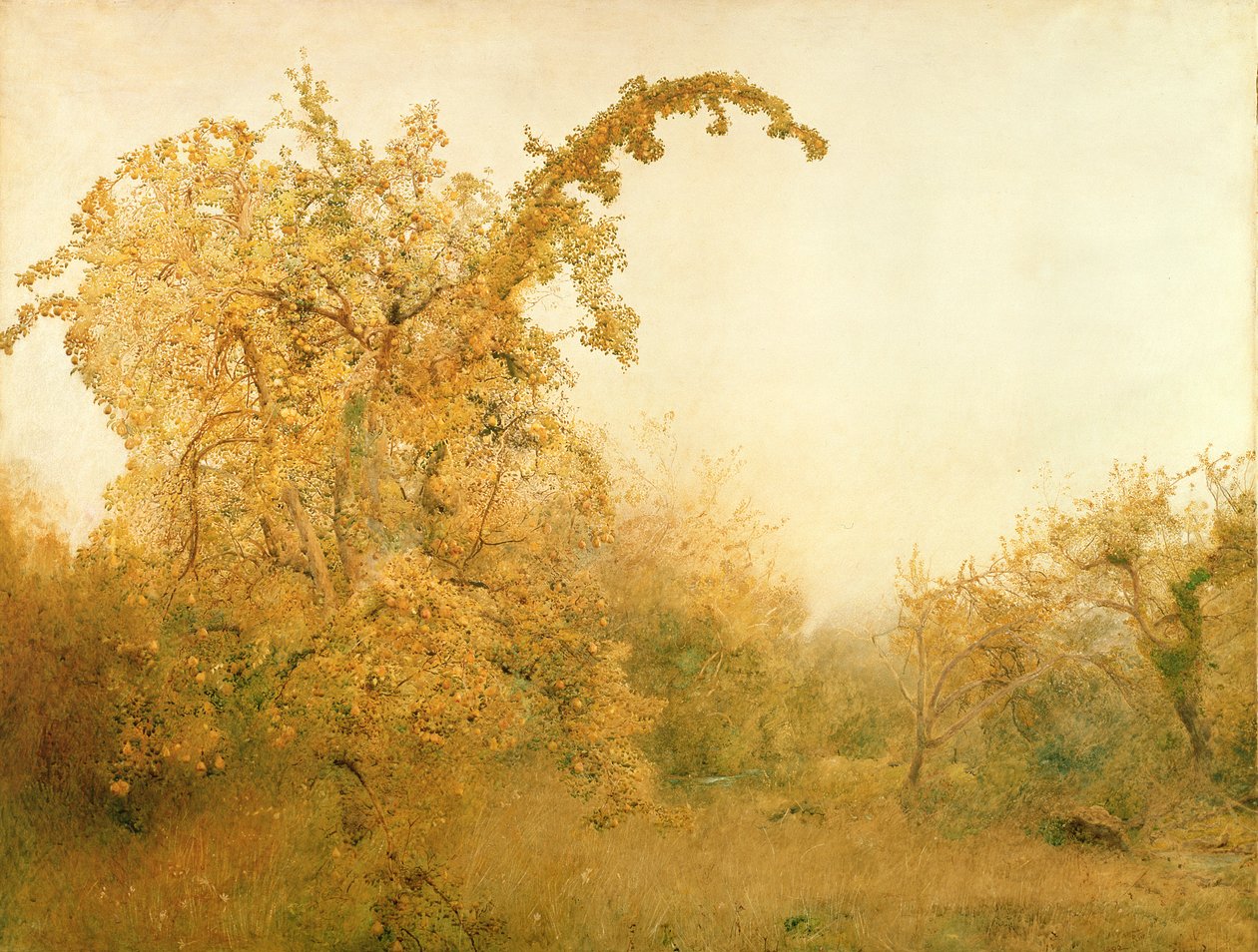 Det gamle pæretræ af John William North