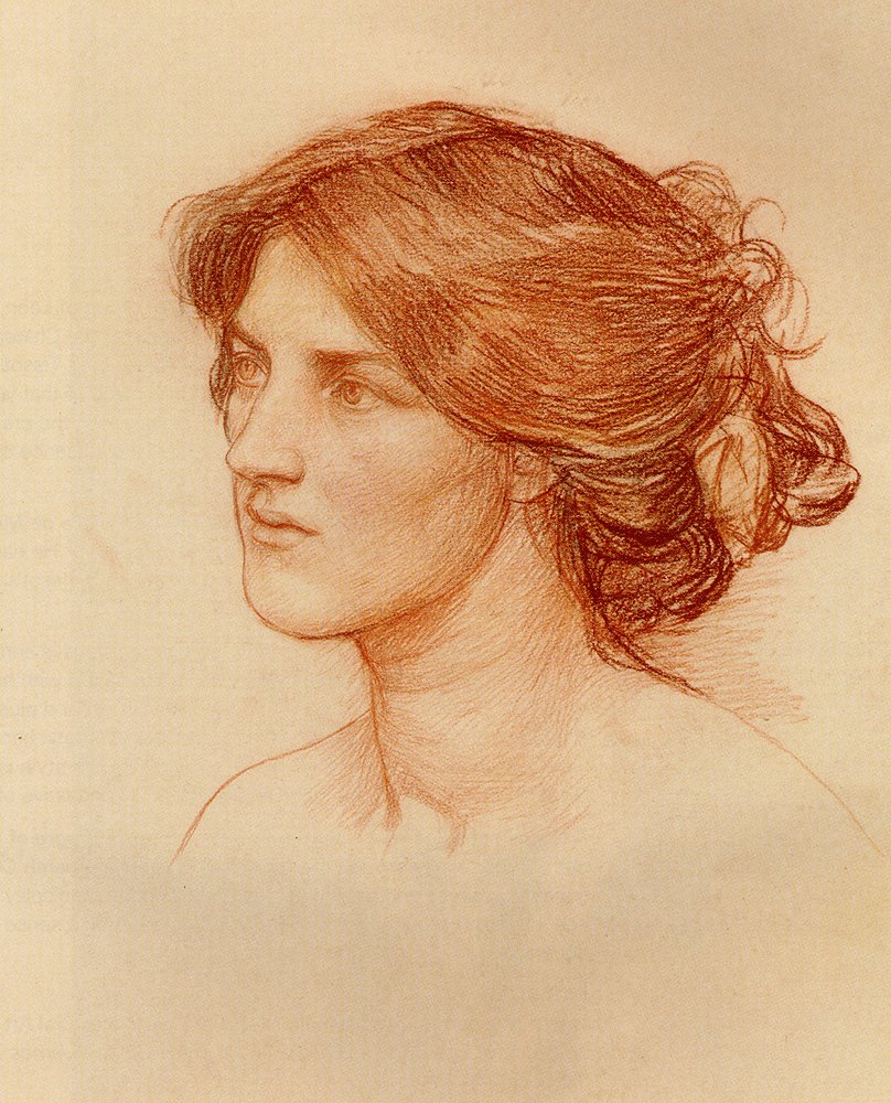 Undersøgelse for Gather Ye rosenknopper mens du kan af John William Waterhouse