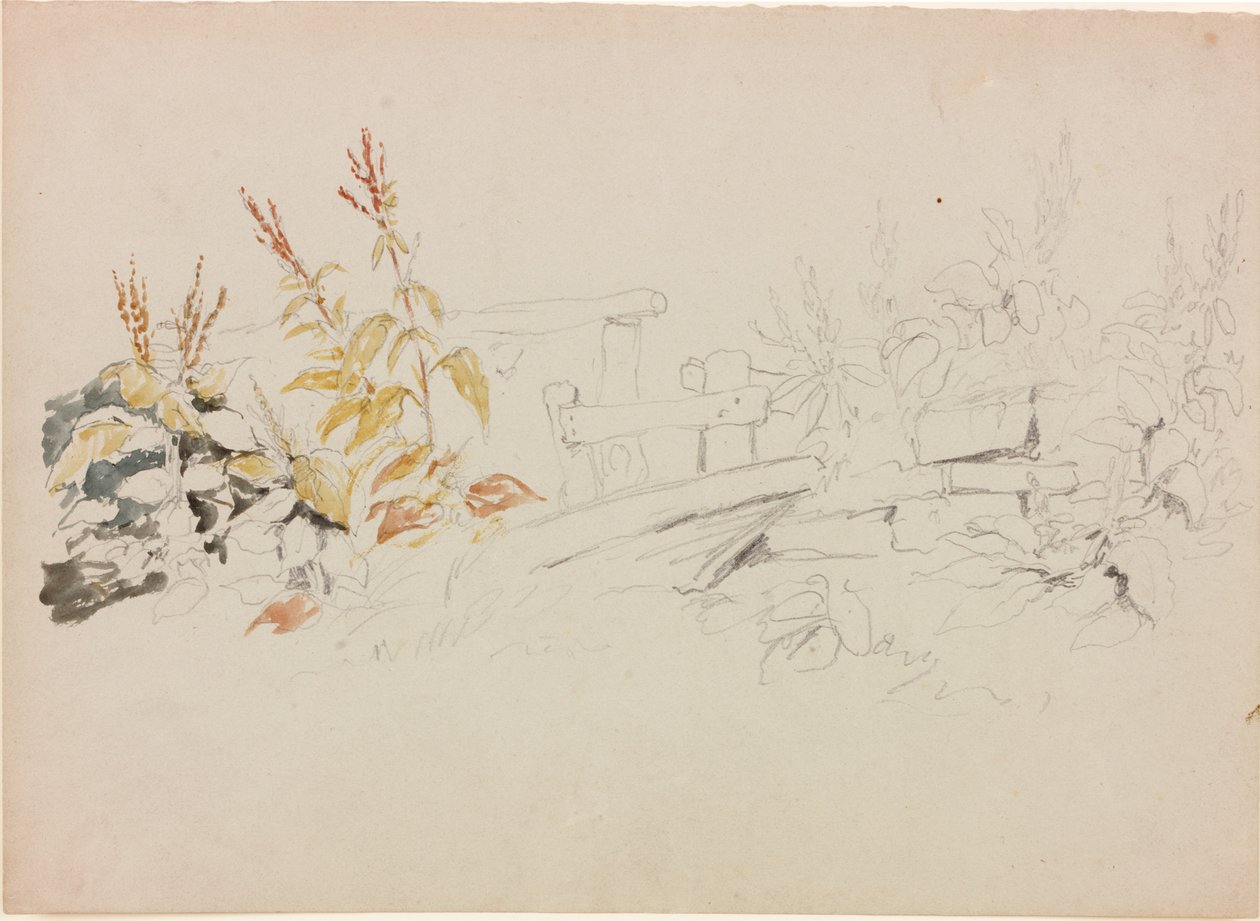 Naturstudie (blyant og akvarel på papir (grå)) af John Wilson Carmichael