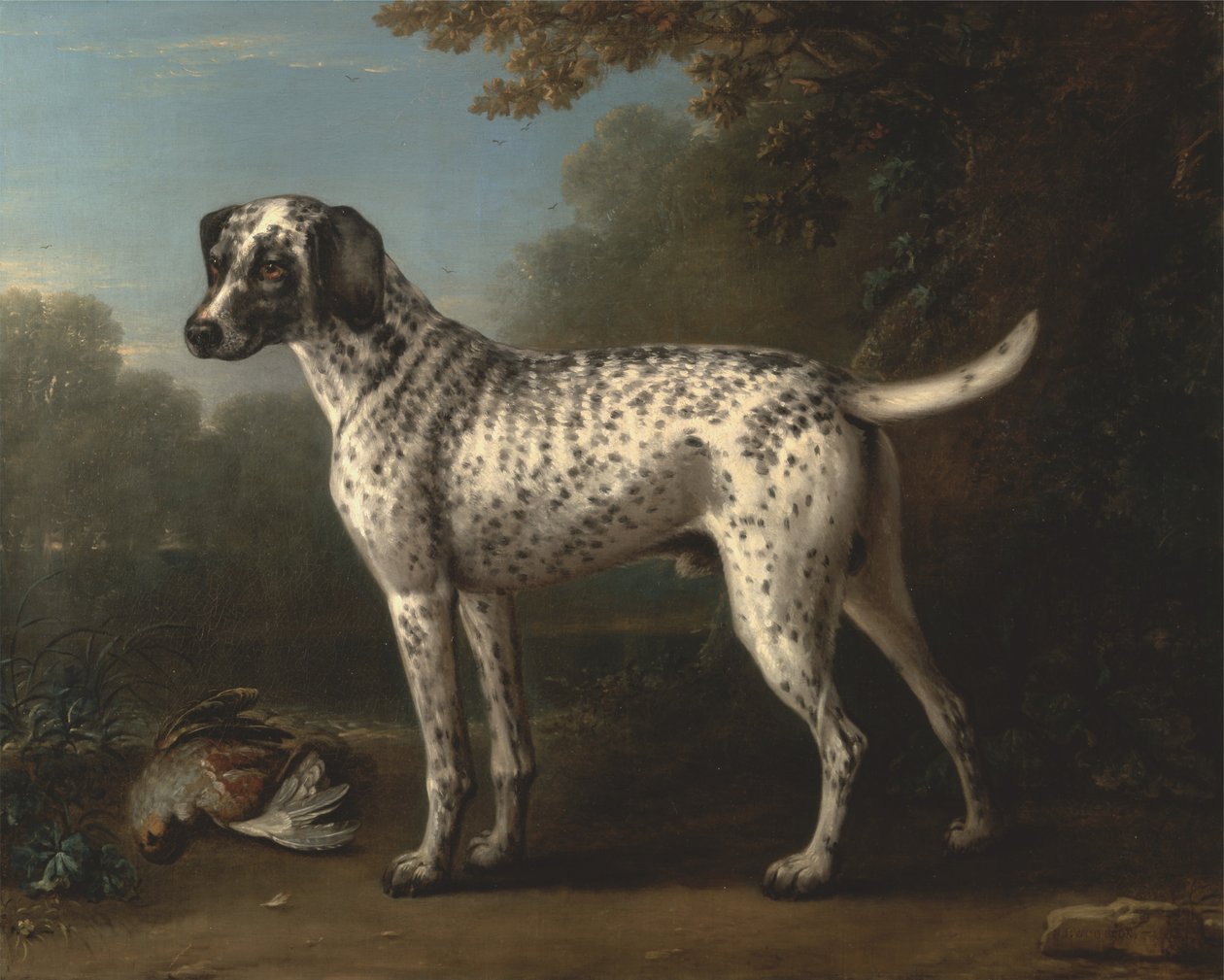 En grå plettet hund af John Wootton