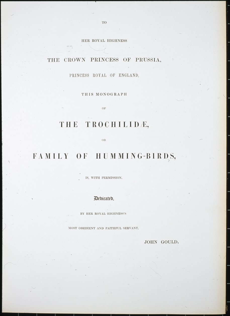 Frontispice (håndfarvet litho) af John (after) Gould
