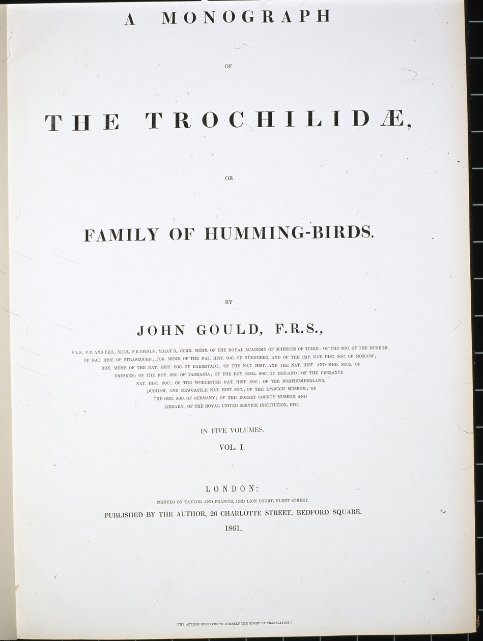 Frontispice (håndfarvet litho) af John (after) Gould
